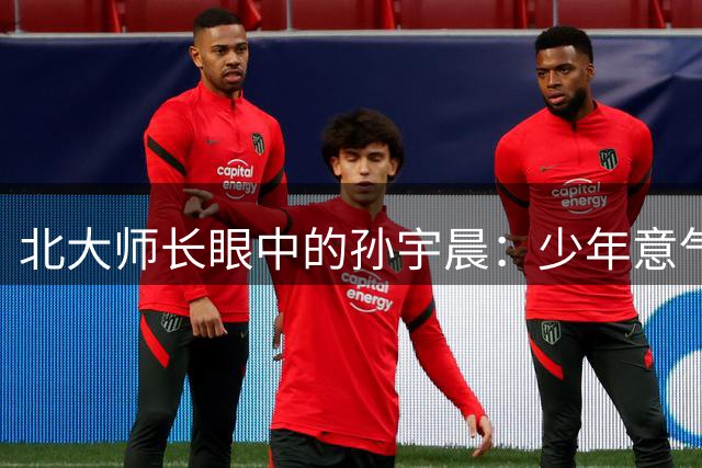 北大师长眼中的孙宇晨：少年意气与成长轨迹